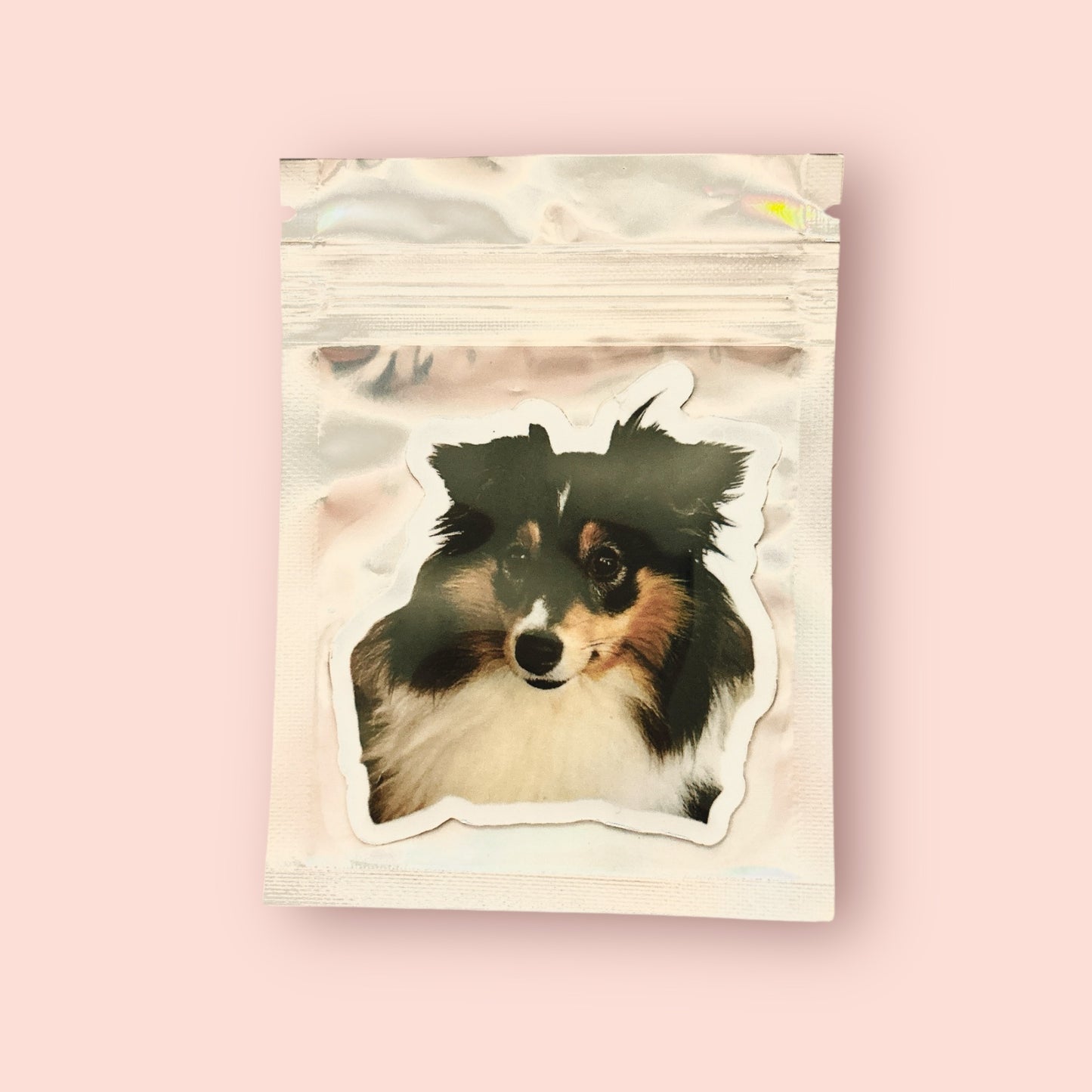 Magnet et sticker frigo personnalisé avec photo de chien ou chat, fabriqué à Lyon, dans son sachet holographique