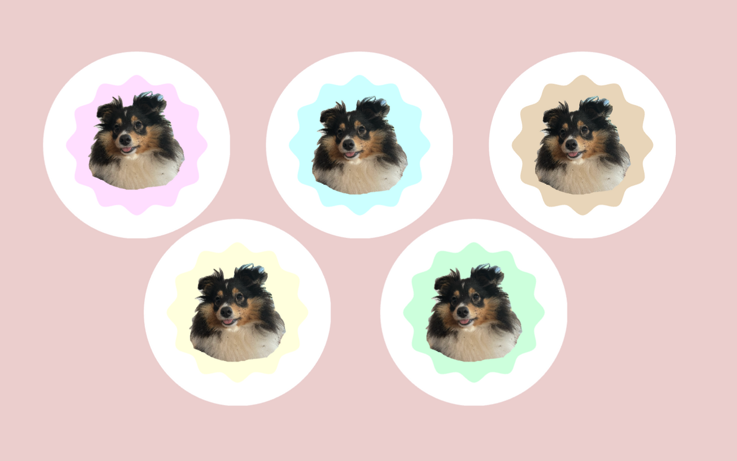 Porte-clé personnalisé avec photo de chien ou chat, fabriqué à Lyon, toutes les couleurs