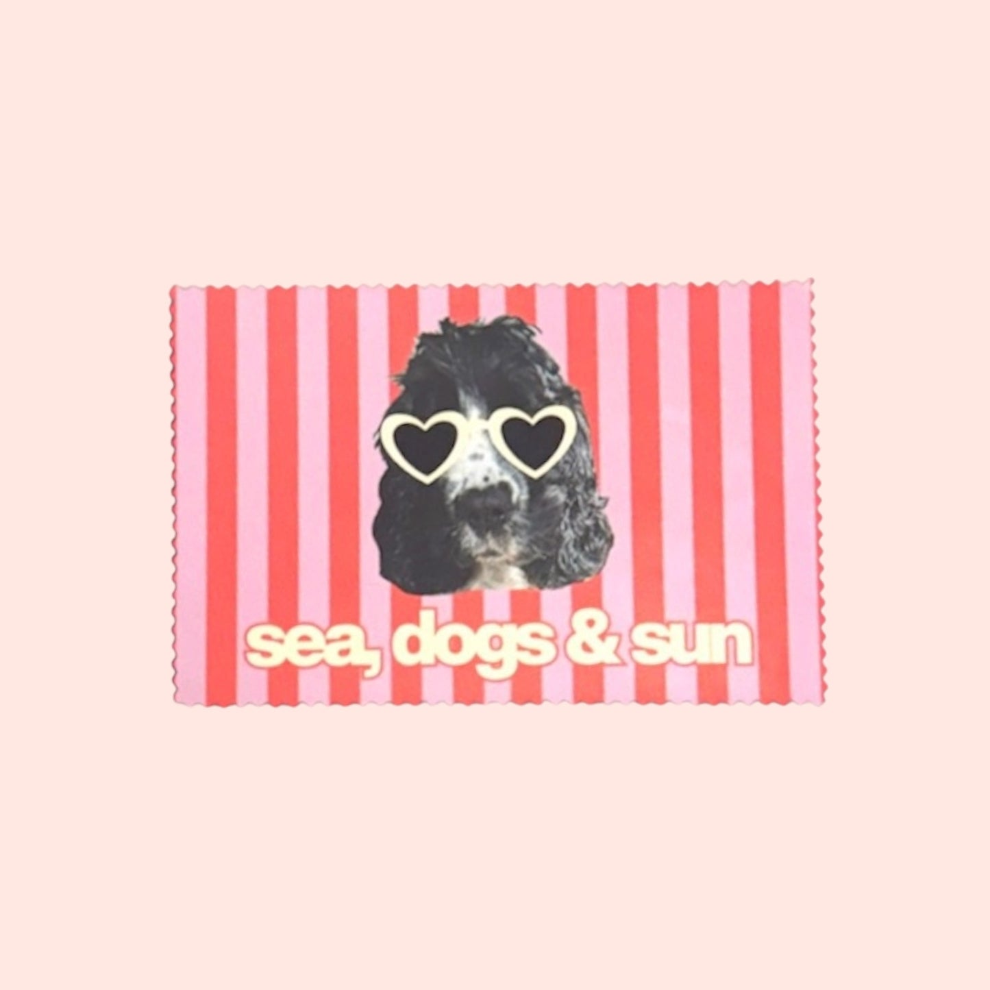 Chiffon lunettes de soleil — Summer Edition ☀️