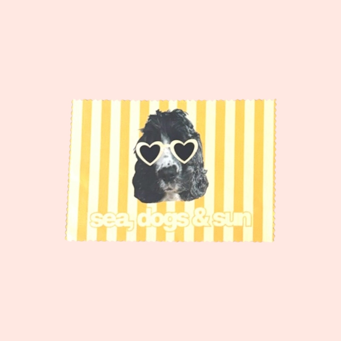 Chiffon lunettes de soleil — Summer Edition ☀️