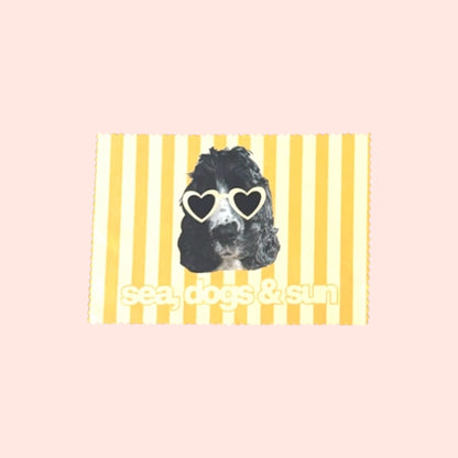 Chiffon lunettes de soleil — Summer Edition ☀️