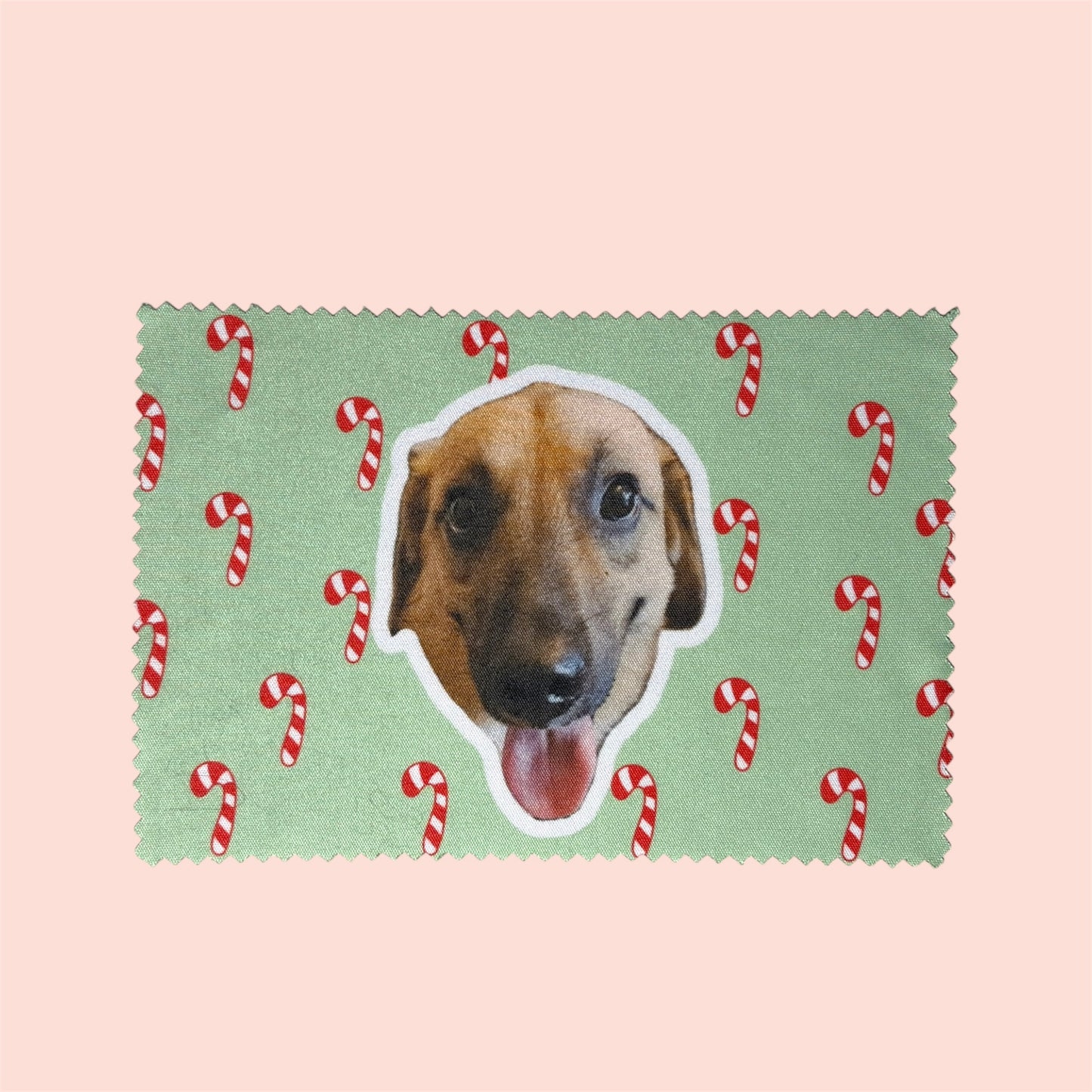 Chiffon microfibre personnalisé avec photo de chien ou chat, fabriqué à Lyon, collection de Noël