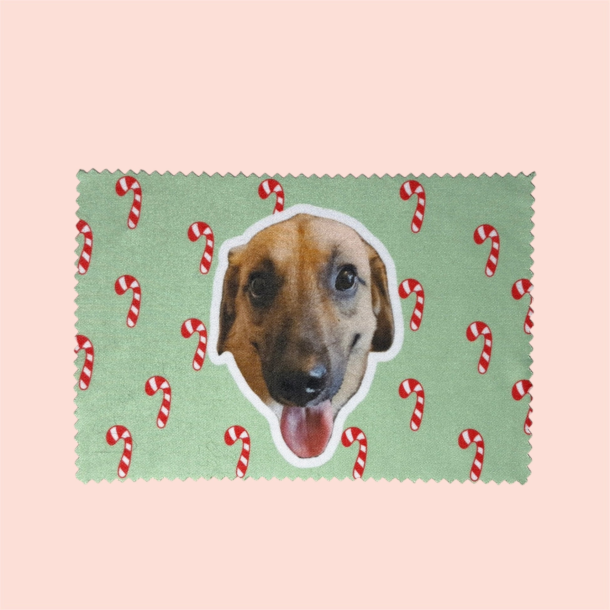 Chiffon microfibre personnalisé avec photo de chien ou chat, fabriqué à Lyon, collection de Noël