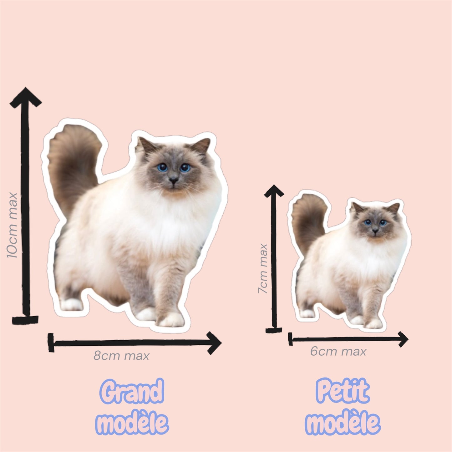 Magnet frigo personnalisé avec photo de chien ou chat, fabriqué à Lyon, explication des tailles
