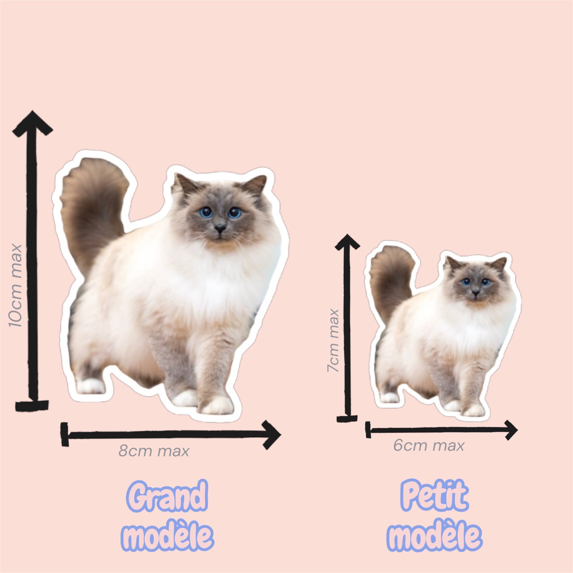 Magnet frigo personnalisé avec photo de chien ou chat, fabriqué à Lyon, explication des tailles