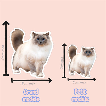 Magnet frigo personnalisé avec photo de chien ou chat, fabriqué à Lyon, explication des tailles