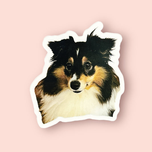 Magnet frigo personnalisé avec photo de chien ou chat, fabriqué à Lyon, de face