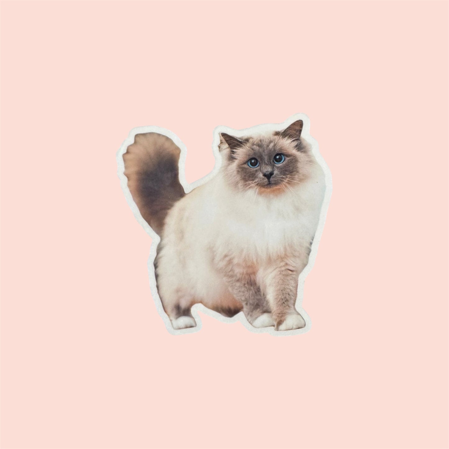 Magnet frigo personnalisé avec photo de chien ou chat, fabriqué à Lyon, corps entier