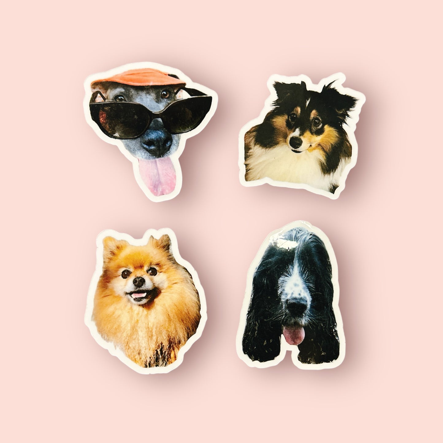 Magnet frigo personnalisé avec photo de chien ou chat, fabriqué à Lyon, plusieurs magnets