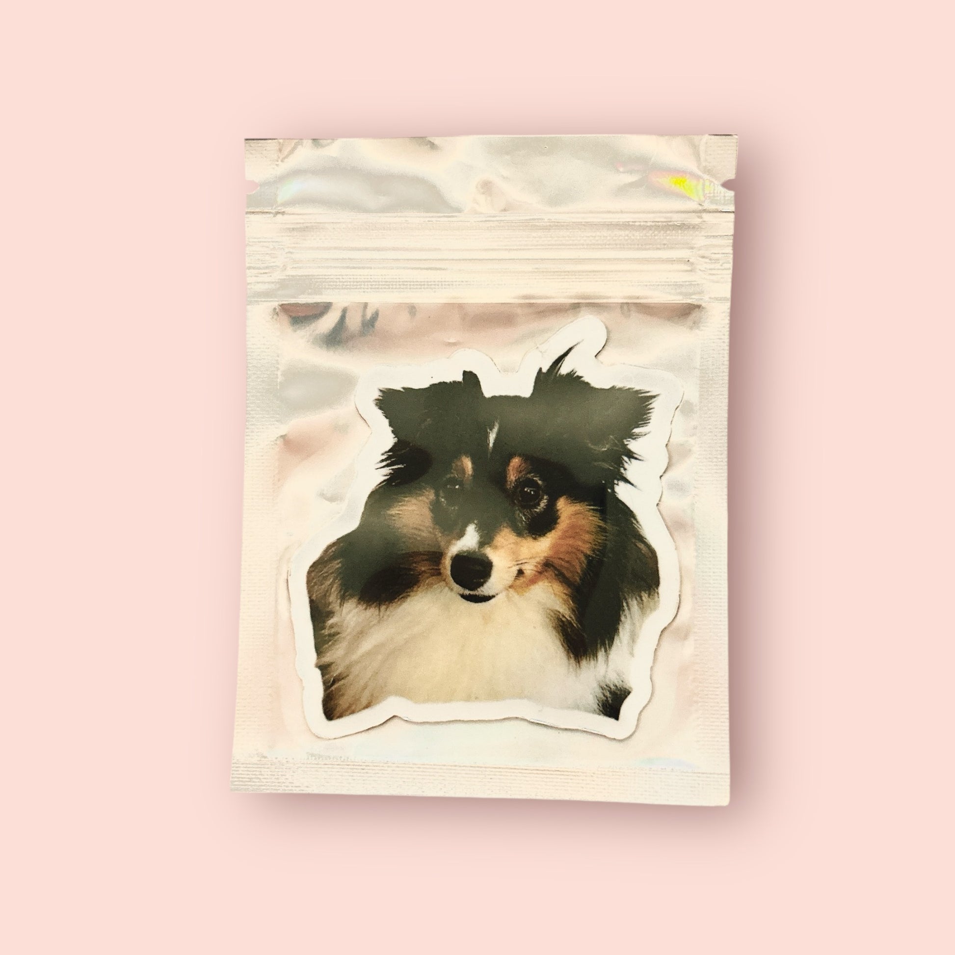 Magnet et sticker frigo personnalisé avec photo de chien ou chat, fabriqué à Lyon, dans son sachet holographique