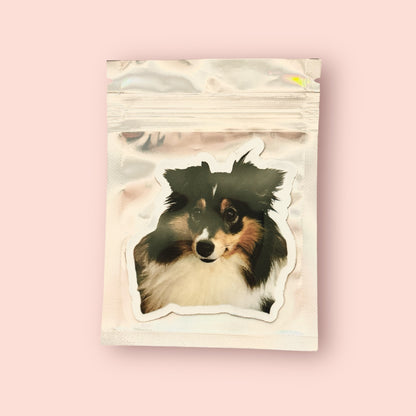Magnet et sticker frigo personnalisé avec photo de chien ou chat, fabriqué à Lyon, dans son sachet holographique