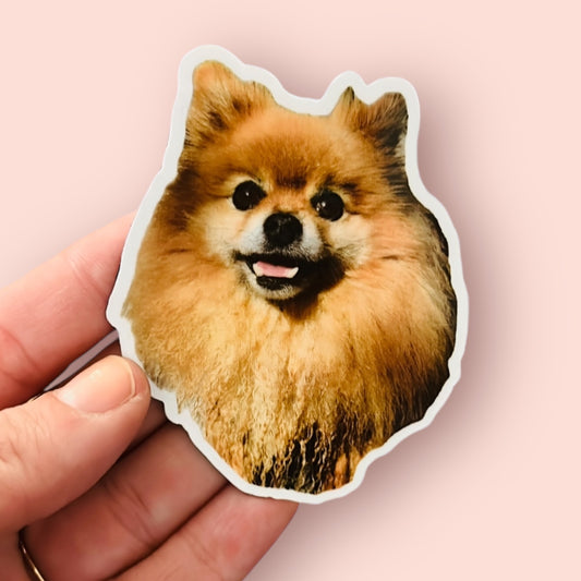 Stickers personnalisés avec photo de chien ou chat, lot de 3, fabriqués à Lyon