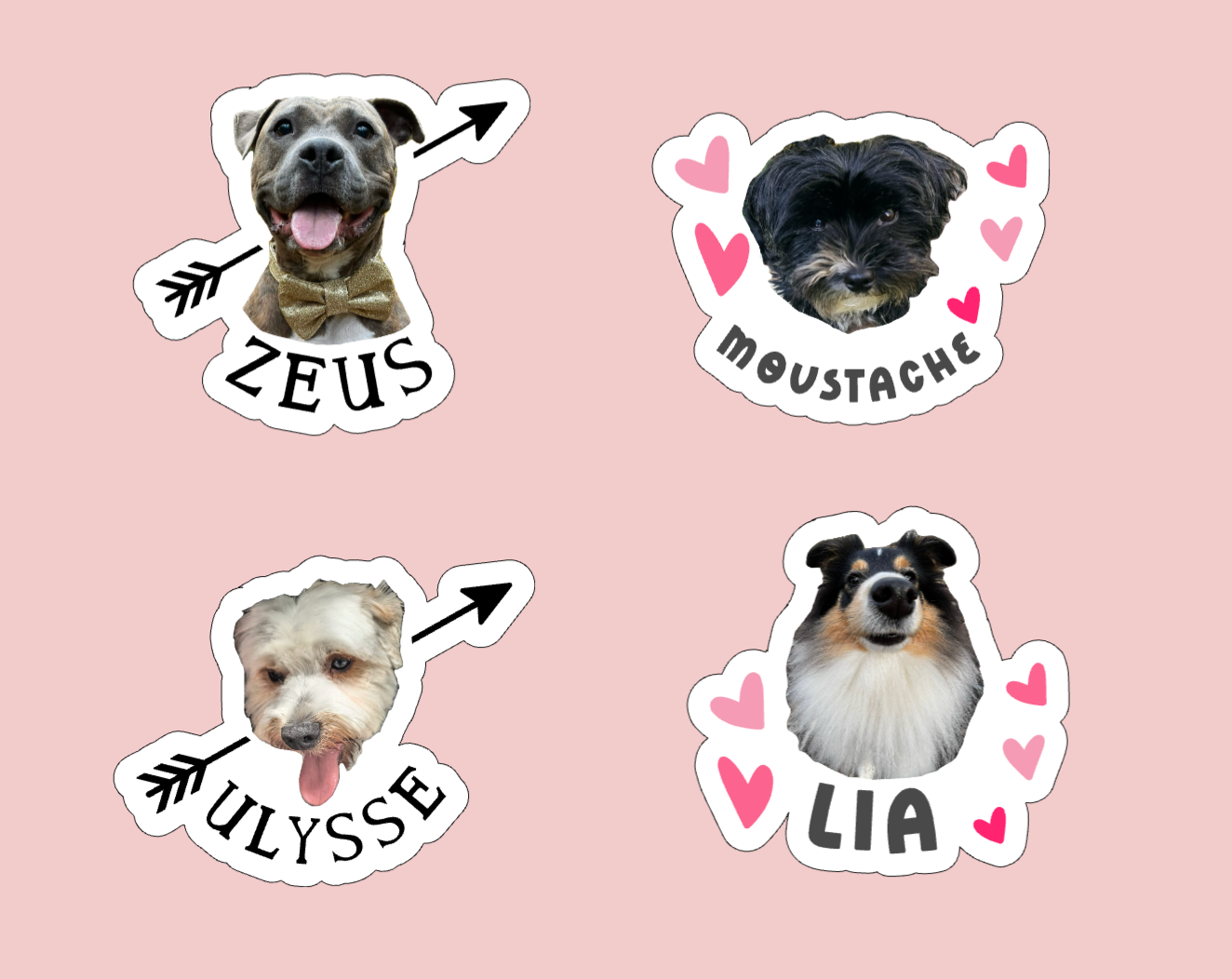 Tatouage éphémère personnalisé avec photo de chien ou chat, fabriqué à Lyon